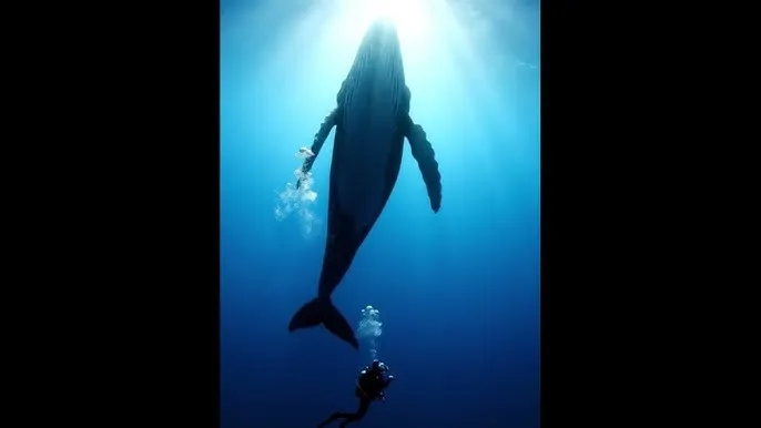 兽性陷阱 - 深蓝星球：探索海洋深处的未知世界